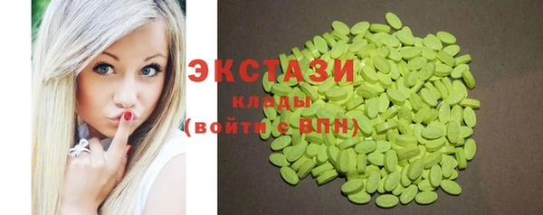 шишки Новодвинск