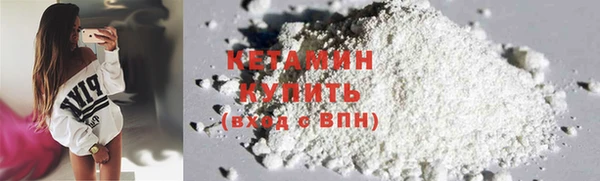шишки Новодвинск