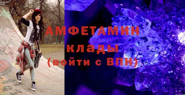шишки Новодвинск