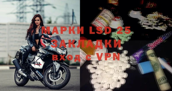 стаф Новозыбков
