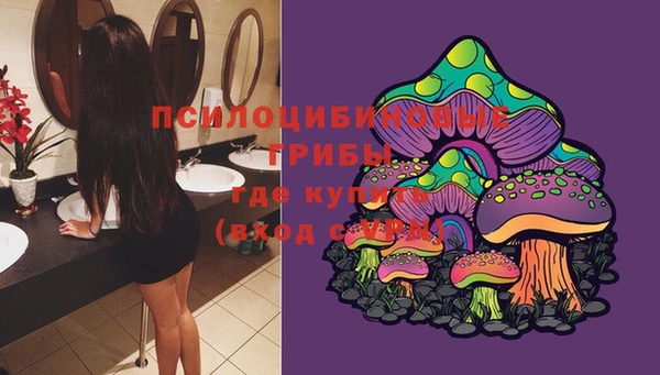 а пвп мука Няндома