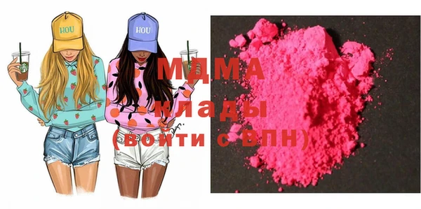 шишки Новодвинск