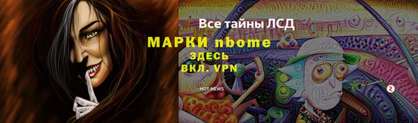стаф Новозыбков